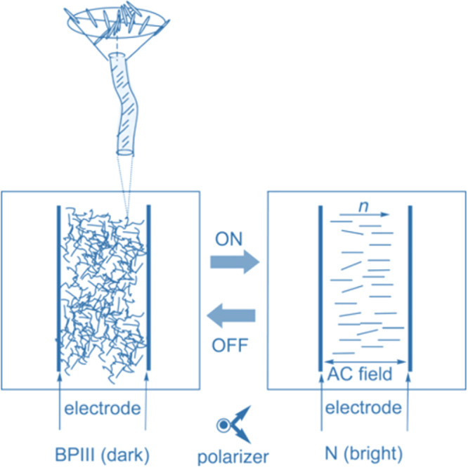 Figure 20.