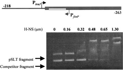 FIG. 5.