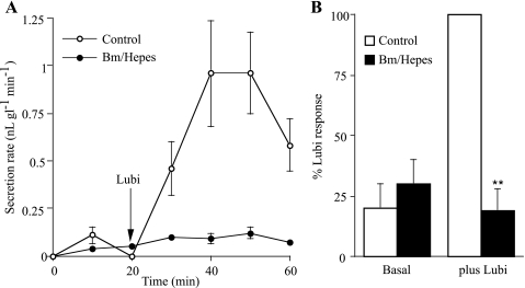 Fig. 9.