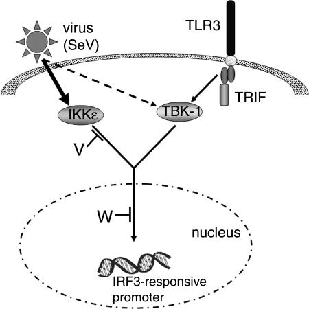 FIG. 8.