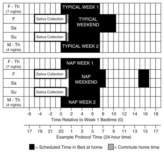 FIGURE 1