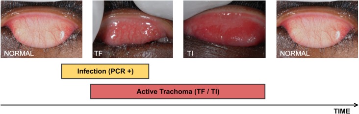 Fig 1