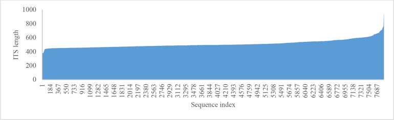 Fig. 19