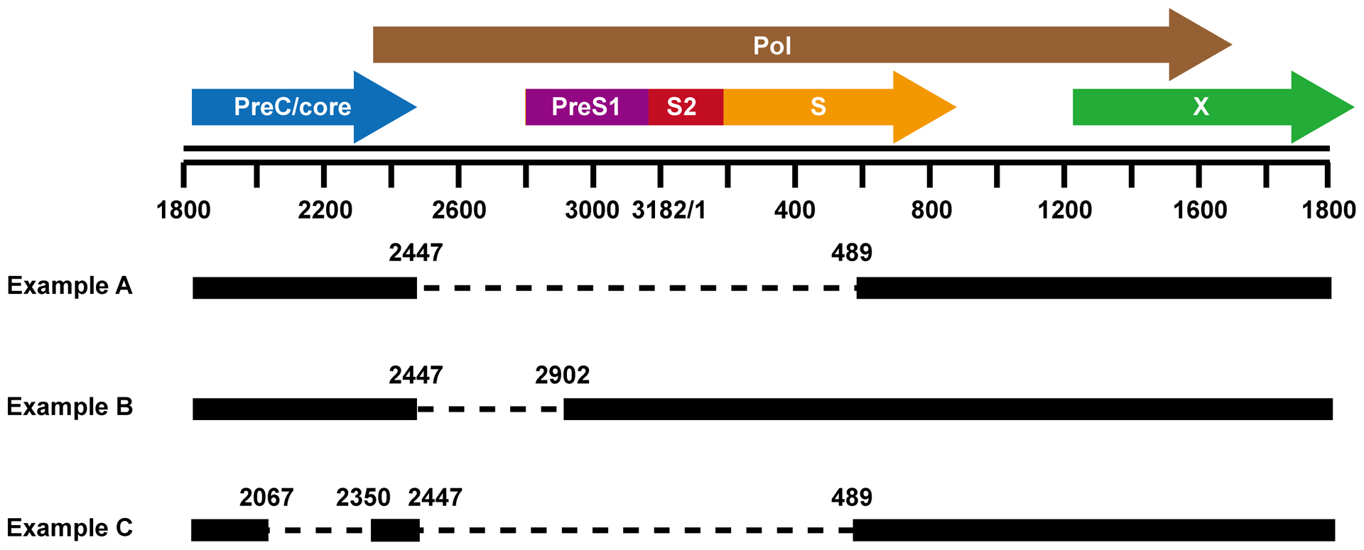 Figure 5.