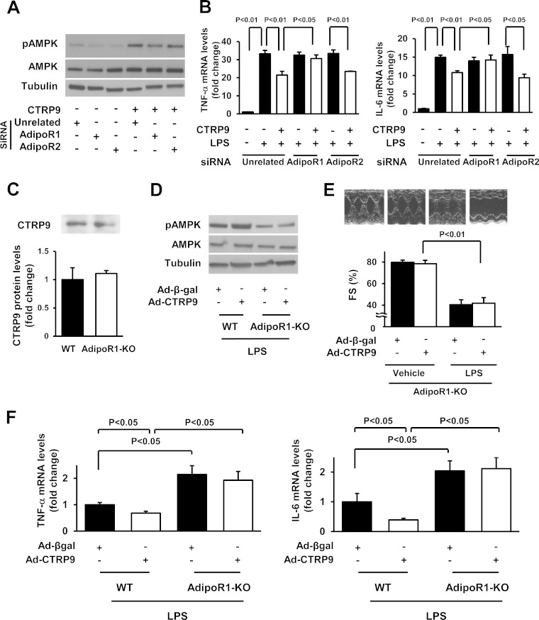 FIG 6