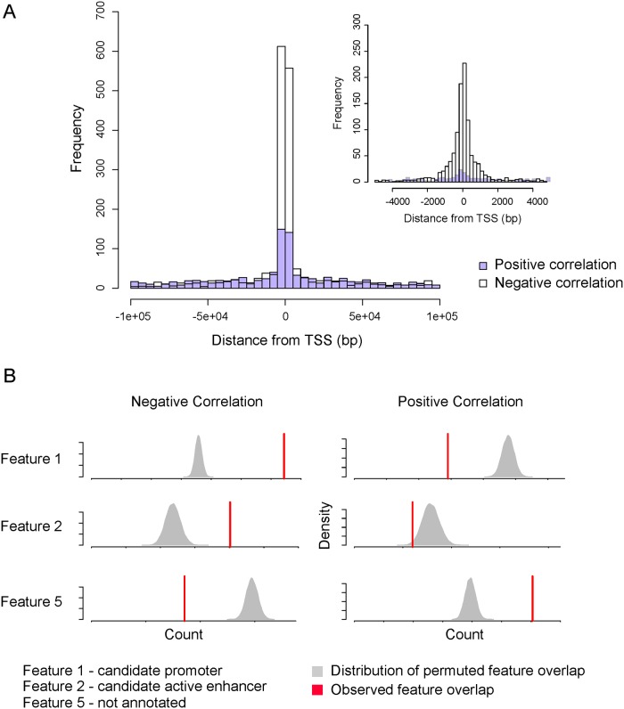 Fig 5