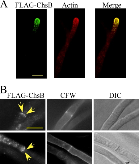 FIG. 4.