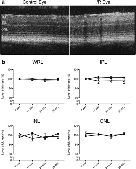 Fig. 12