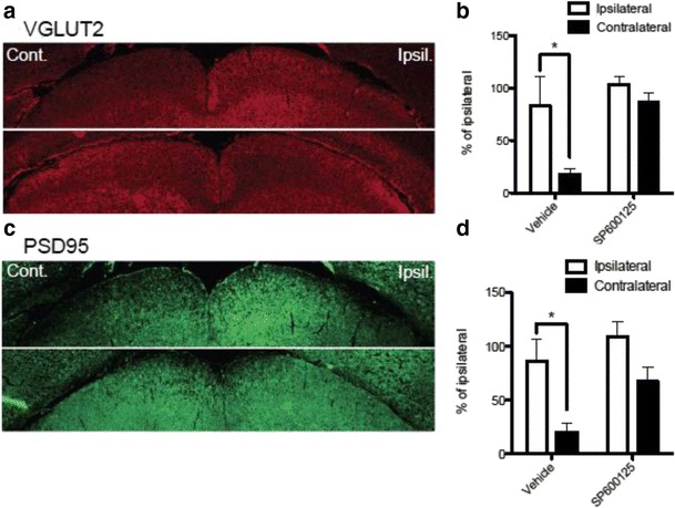 Fig. 11