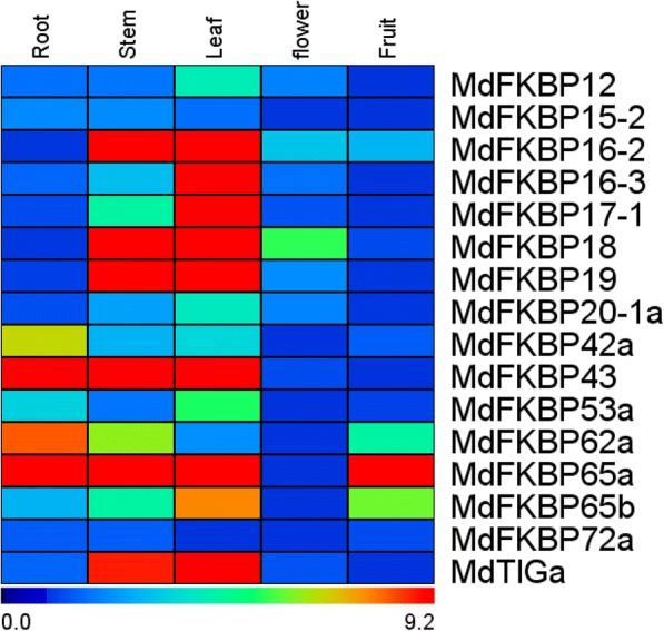 Fig. 7