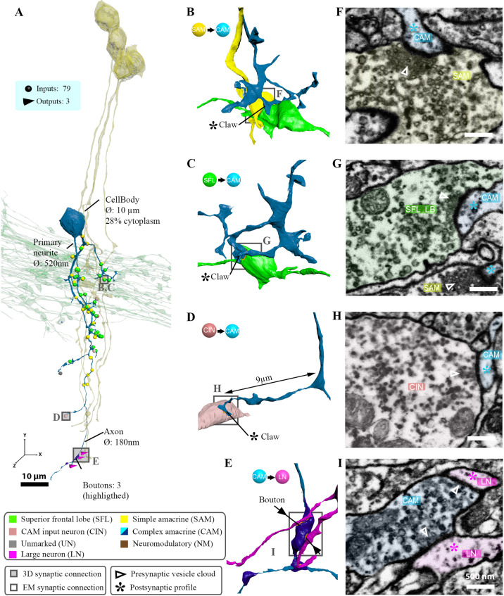 Figure 6—figure supplement 2.