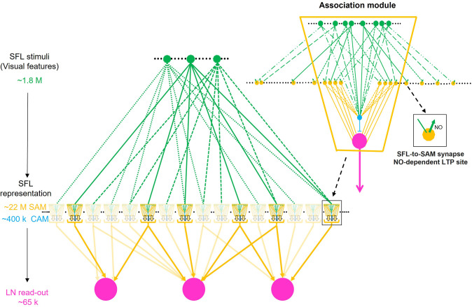 Figure 11.