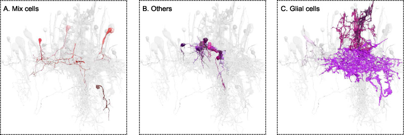 Figure 1—figure supplement 1.