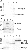 FIG. 5.