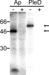 FIG. 7.