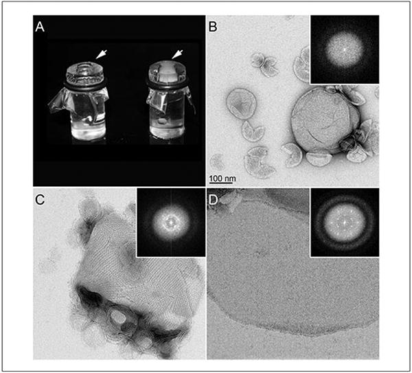 Figure 17.15.4