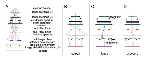 Figure 17.15.3