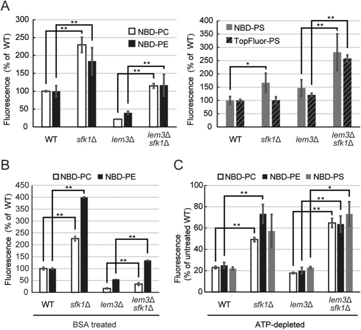 FIGURE 4: