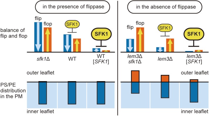 FIGURE 10: