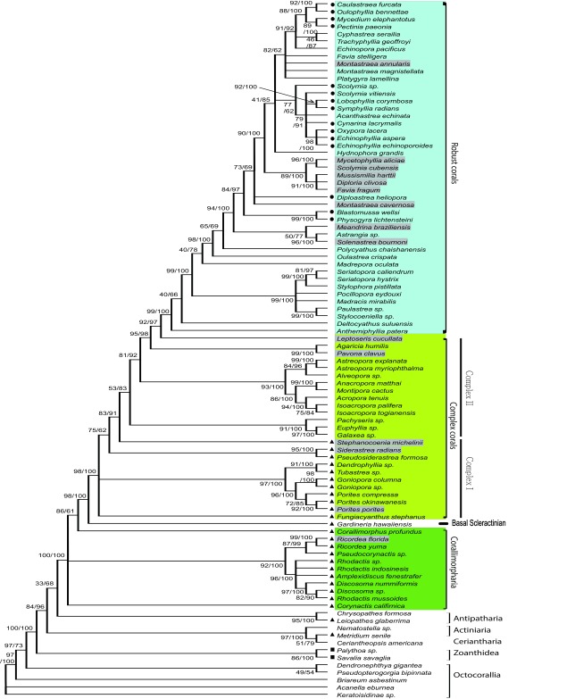 Fig. 3.