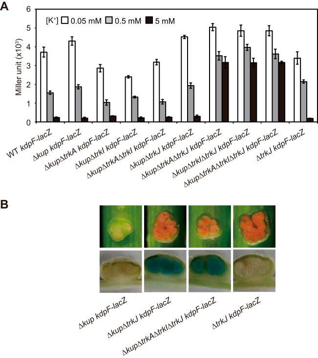 FIG 6