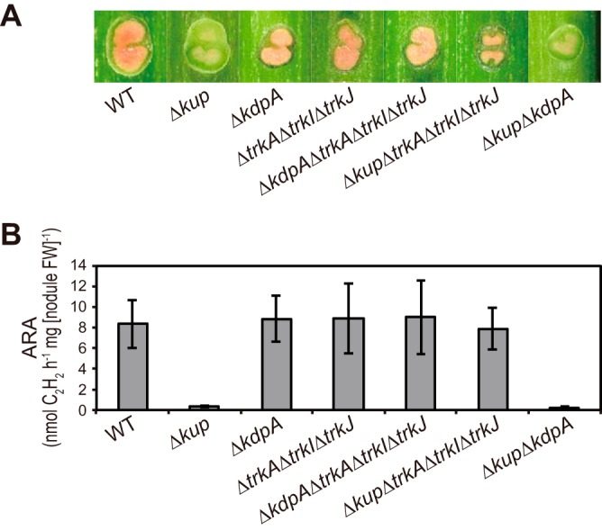 FIG 4