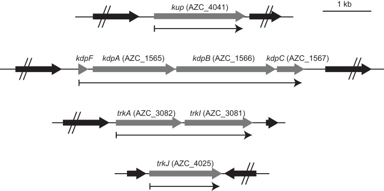 FIG 1