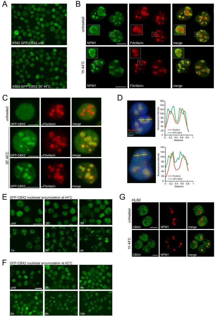 Figure 1—figure supplement 2.