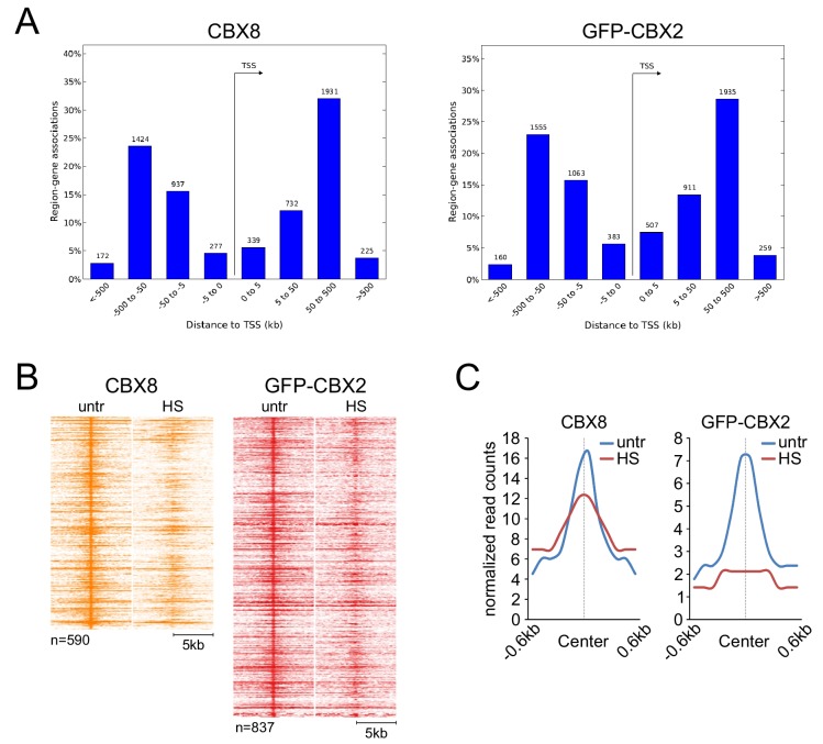 Figure 4—figure supplement 1.