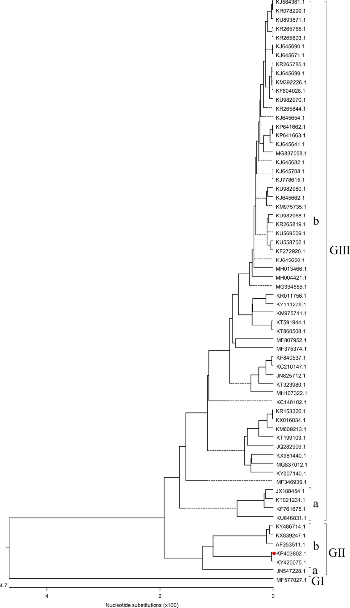 Figure 5