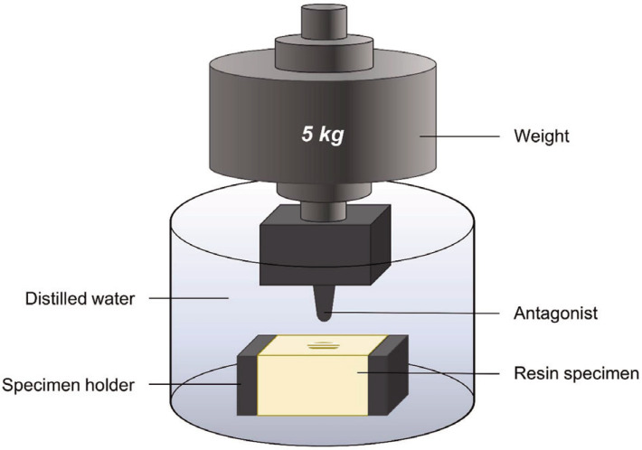 Fig. 1