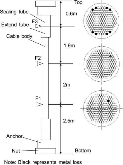 Figure 12.