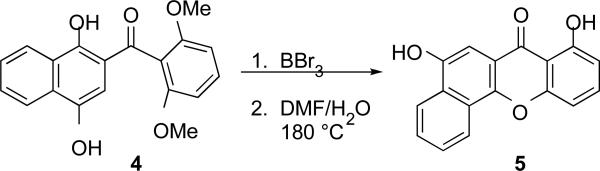 Scheme 2