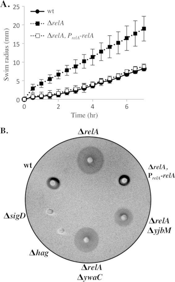 FIG 4