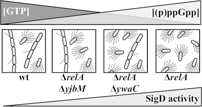 FIG 6