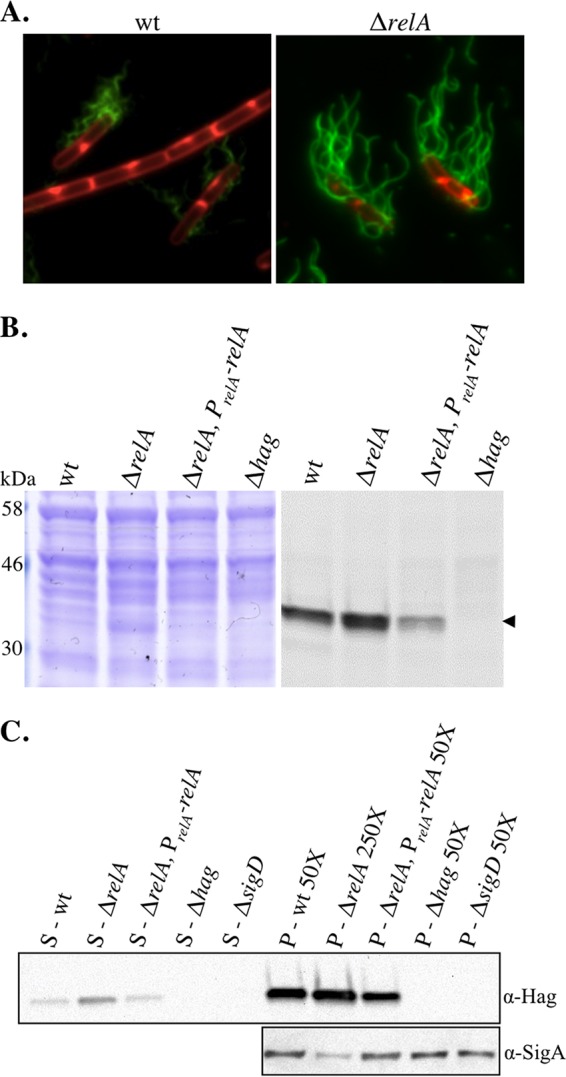 FIG 3