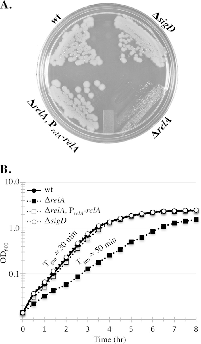 FIG 1