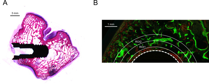 Fig 4