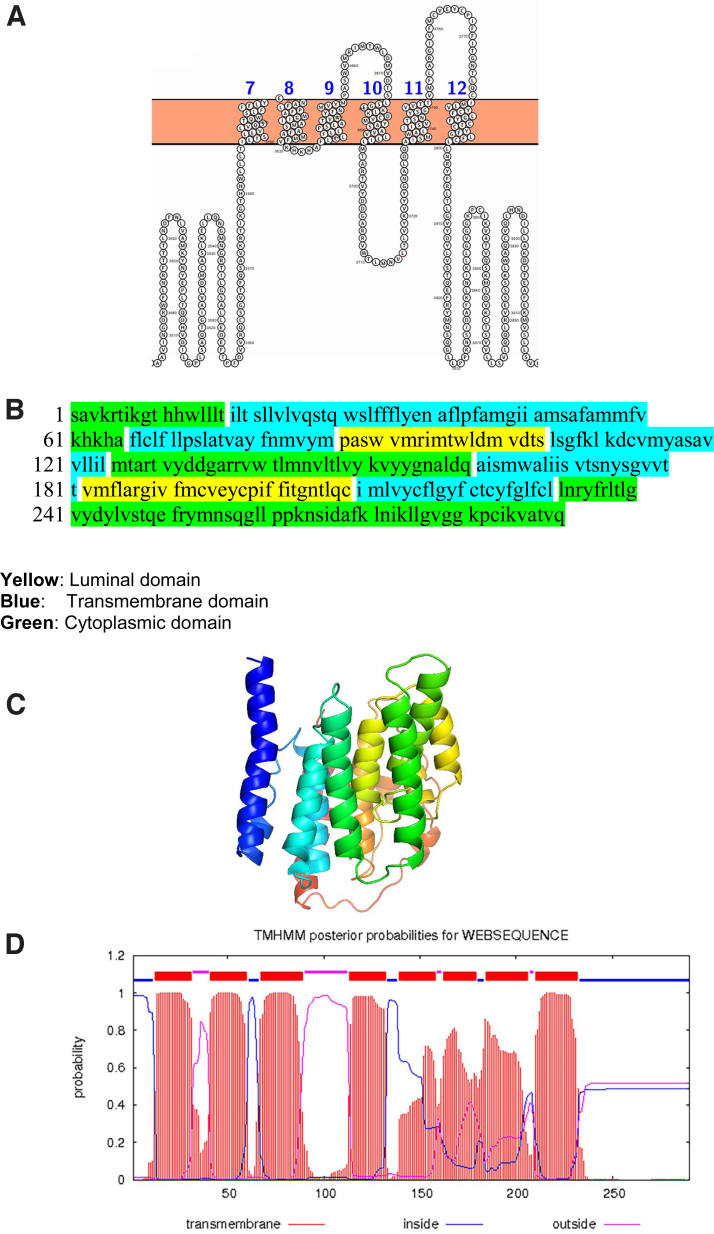 FIG. 4.