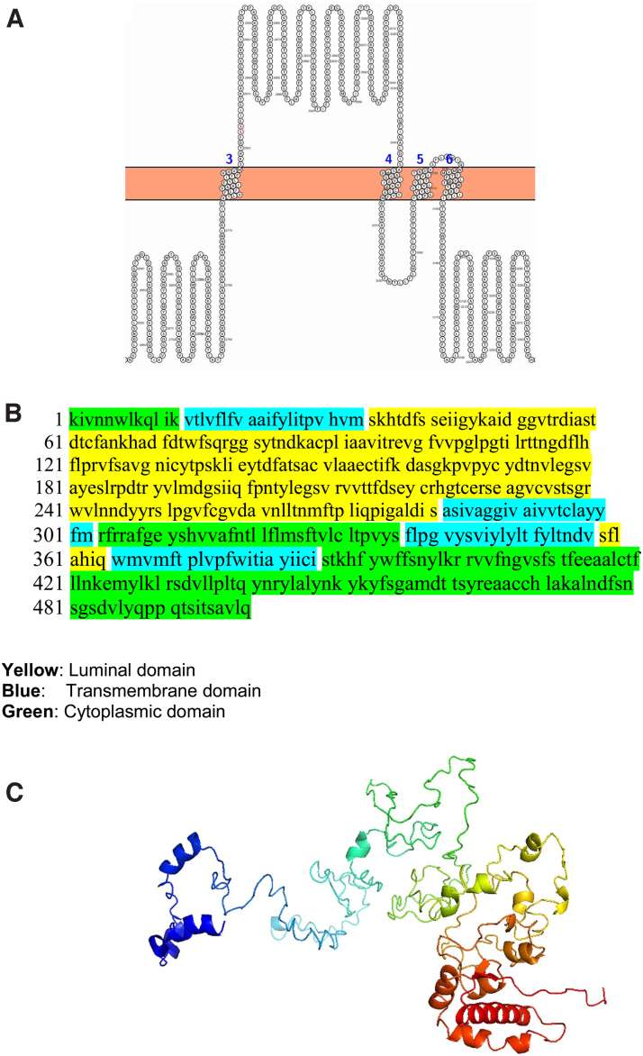 FIG. 3.