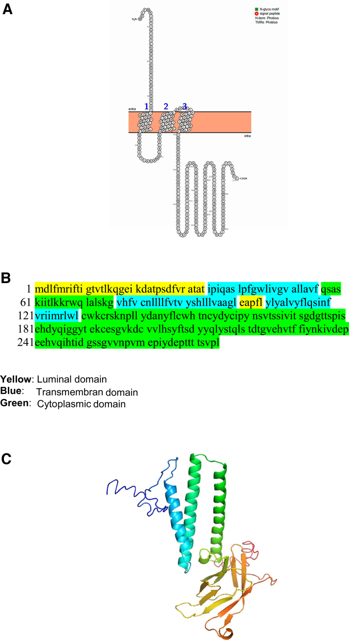 FIG. 5.