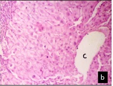 [Table/Fig-2b]: