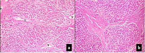 [Table/Fig-6a,b]: