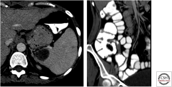 Figure 10.