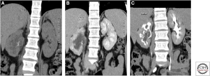 Figure 13.