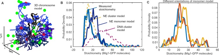 Figure 4—figure supplement 3.