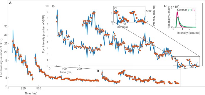 Figure 1—figure supplement 3.