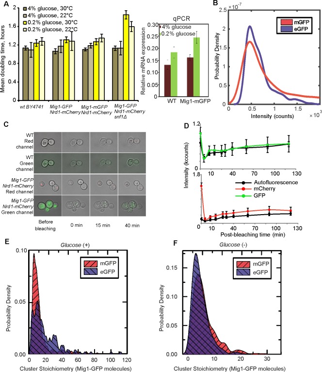 Figure 1—figure supplement 2.