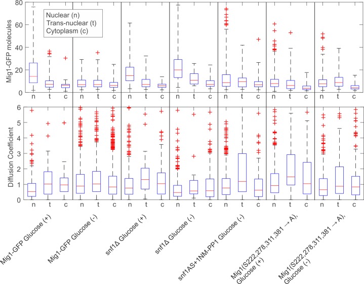 Figure 2—figure supplement 3.