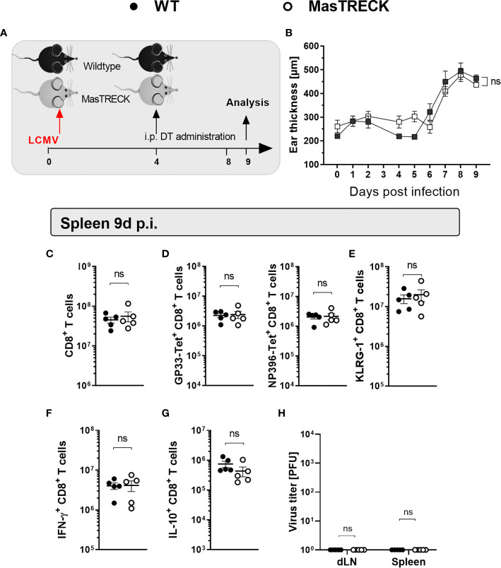 Figure 6